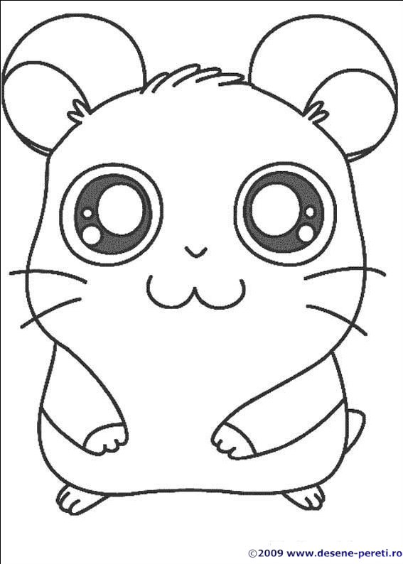 hamtaro desene colorat